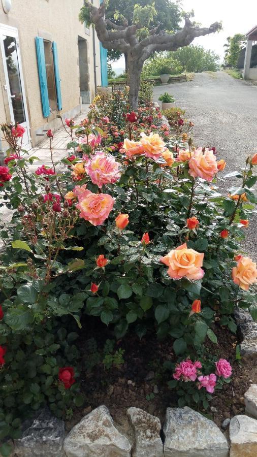 La Vigneronne Bed & Breakfast Villelongue-d'Aude Bagian luar foto